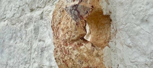 4غرفة فيلا في Monopoli, Italy رقم 7545 142