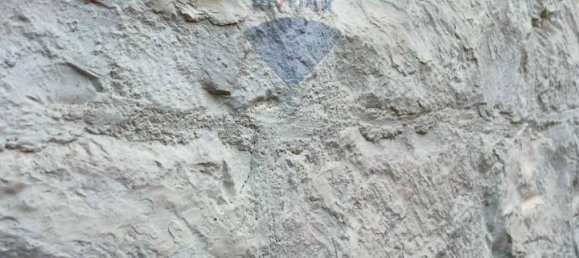 4غرفة فيلا في Monopoli, Italy رقم 7545 147