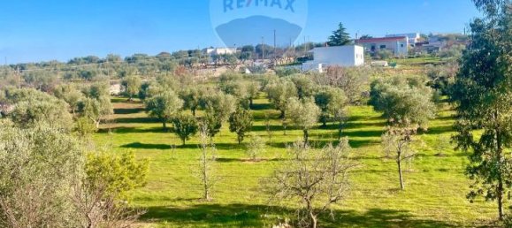 4غرفة فيلا في Monopoli, Italy رقم 7545 96