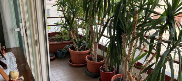 6 rooms Apartment in Trento, Italy No. 289832 17