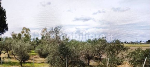 15000m² Land in Foggia, Italy No. 250853 2