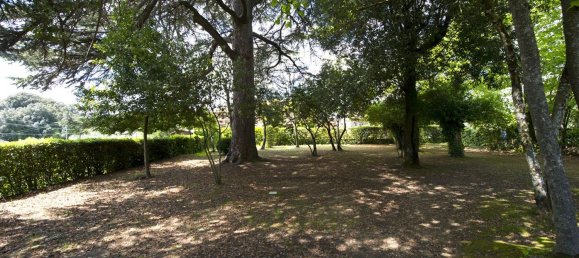 24 rooms Villa in Monteriggioni, Italy No. 207529 42