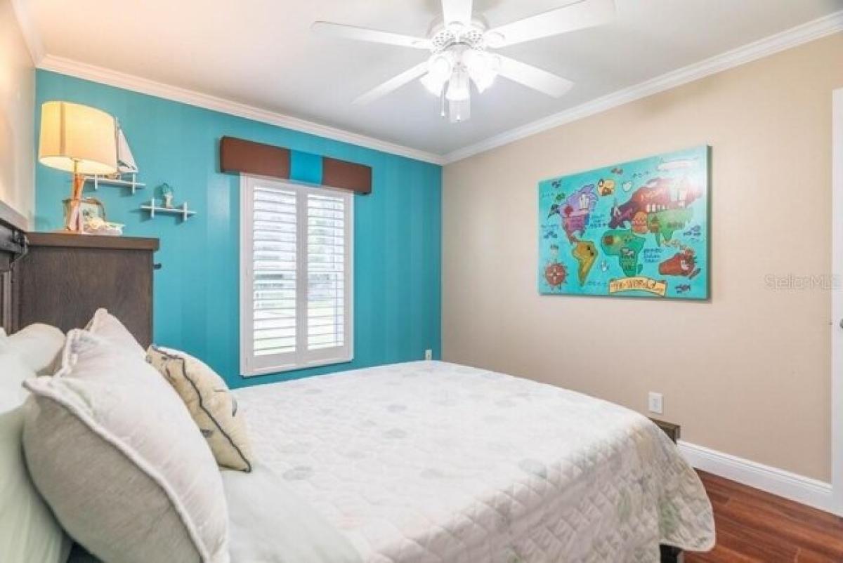 5 bedrooms House in Tampa, USA No. 313878