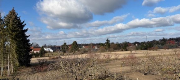 5-Zimmer Haus in Brandenburg, Germany, Nr. 40301 4