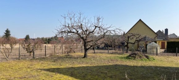 5-Zimmer Haus in Brandenburg, Germany, Nr. 40301 5