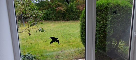 Квартира с 3 спальнями в Саарпфальц, Германия № 218566 26