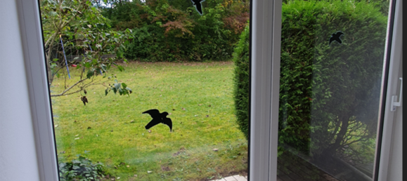 Квартира с 3 спальнями в Саарпфальц, Германия № 218566 2