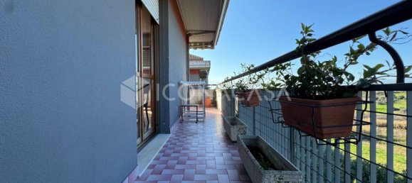 6 rooms Apartment in Pescara, Italy No. 24894 15