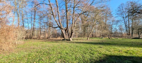 Adosado de 3 dormitorios en Spree-Neise, Germany No. 23679 8