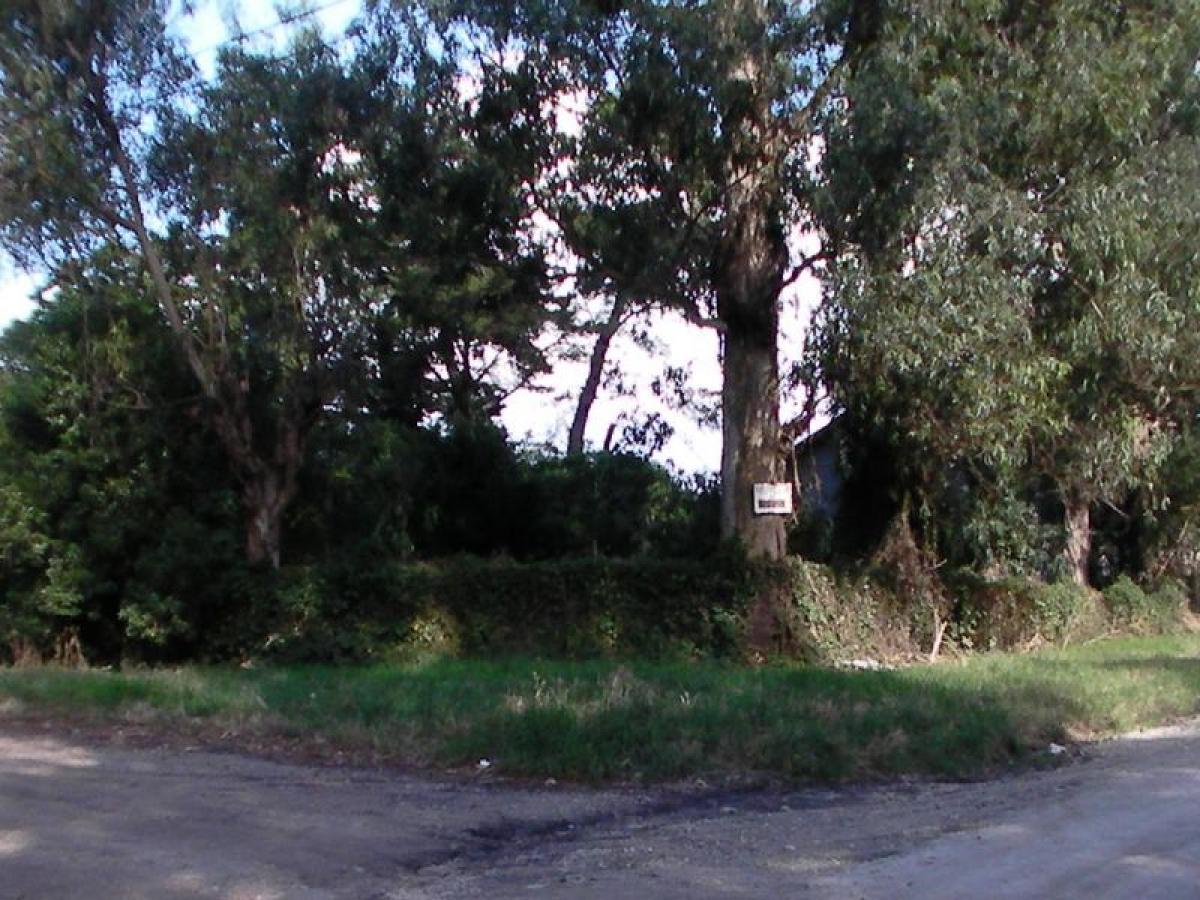  Land in Mar del Plata, Argentina No. 110509