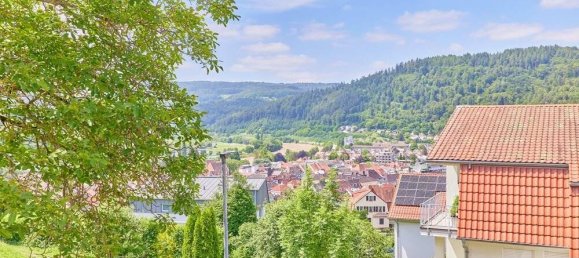 Villa de 6 dormitorios en Rhein-Neckar-Kreis, Germany No. 102526 12