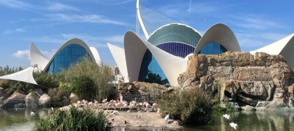 4 Schlafzimmer Wohnung in Valencia, Spain, Nr. 161925 8