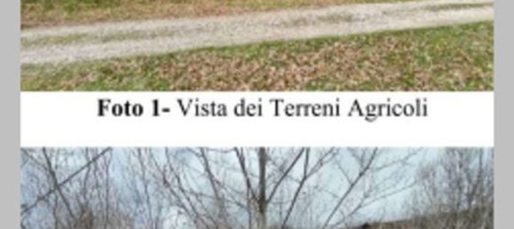 7-Zimmer Wohnung in Sassocorvaro Auditore, Italy, Nr. 288430 18