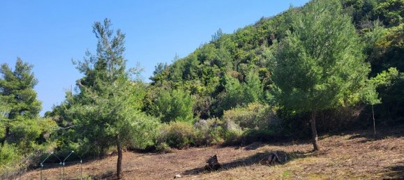 4500m² Hotel in Chalkidiki, Greece No. 4778 2