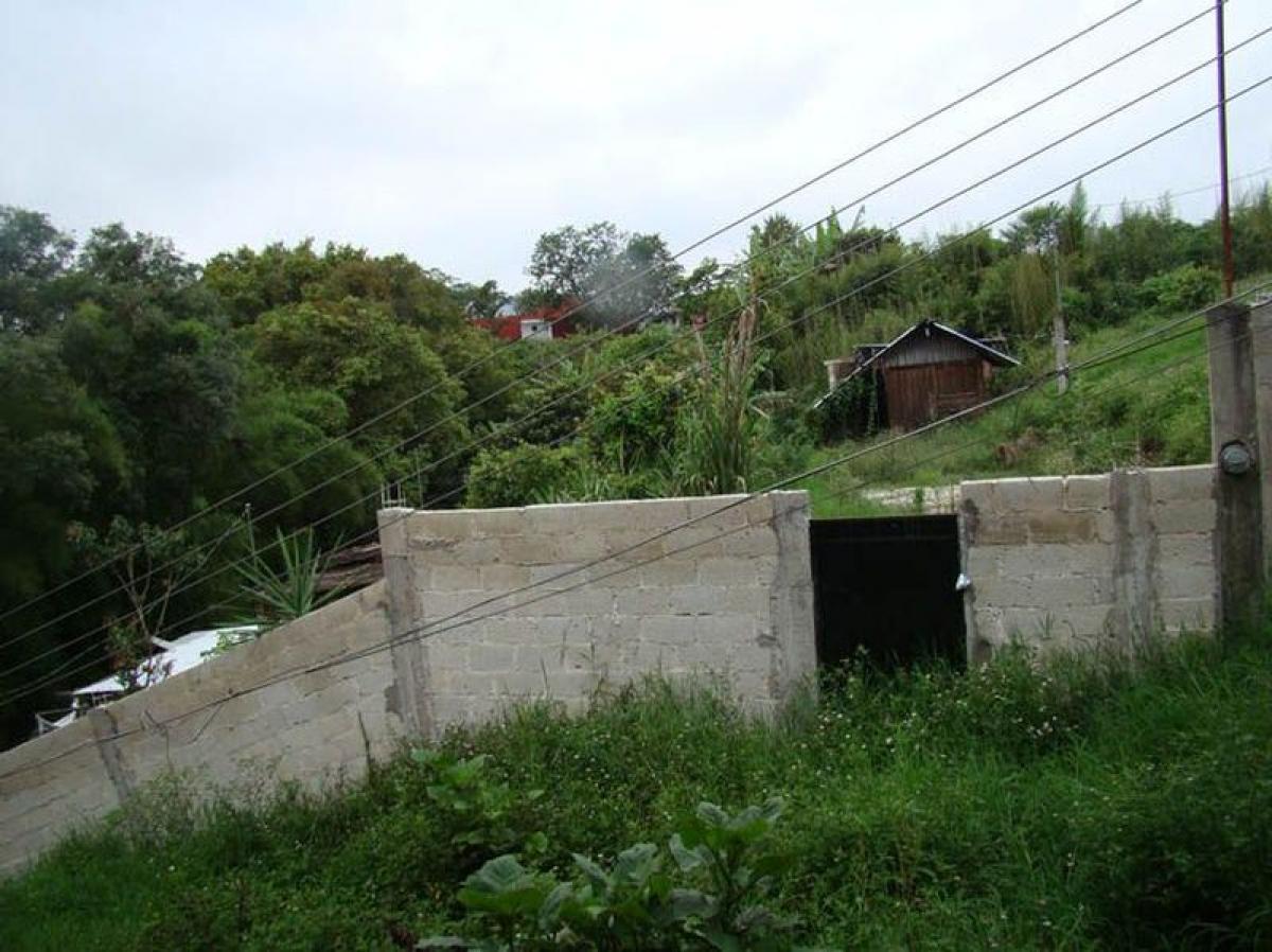 Terrain à Veracruz, Mexico No. 203346