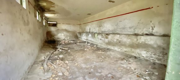 عقار تجاري في Prignitz, Germany رقم 75637 8