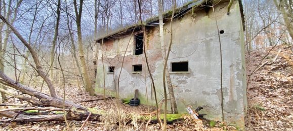 عقار تجاري في Prignitz, Germany رقم 75637 26