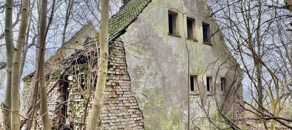 عقار تجاري في Prignitz, Germany رقم 75637 10