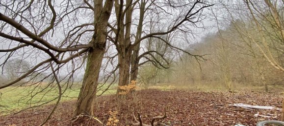 عقار تجاري في Prignitz, Germany رقم 75637 23