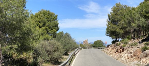  Land in Alhaurin el Grande, Spain No. 126122 25