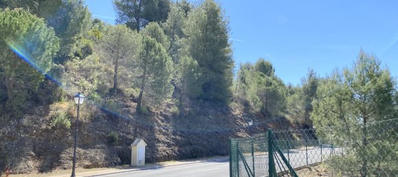  Land in Alhaurin el Grande, Spain No. 126122 38