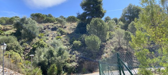  Land in Alhaurin el Grande, Spain No. 126122 37