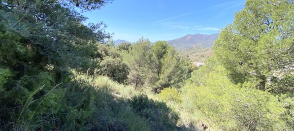  Land in Alhaurin el Grande, Spain No. 126122 12