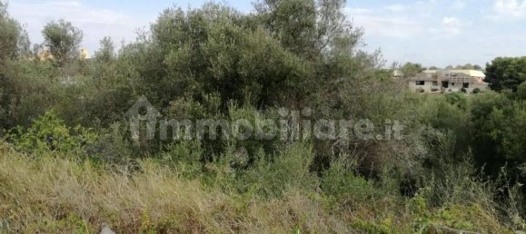 Grundstück in Pachino, Italy 3750m², Nr. 66633 3