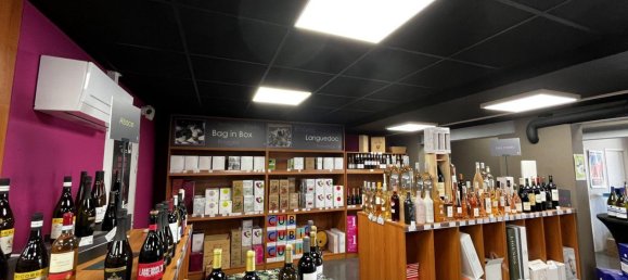 214m² Commercial property in Narbonne, France No. 292346 3