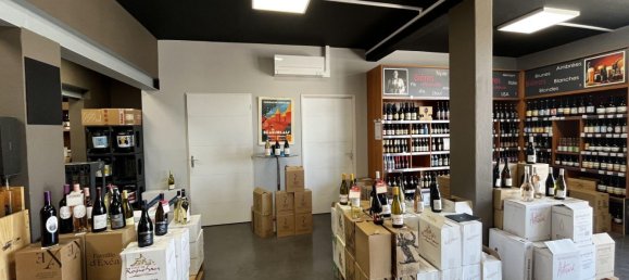 214m² Commercial property in Narbonne, France No. 292346 4