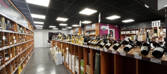 214m² Commercial property in Narbonne, France No. 292346 10