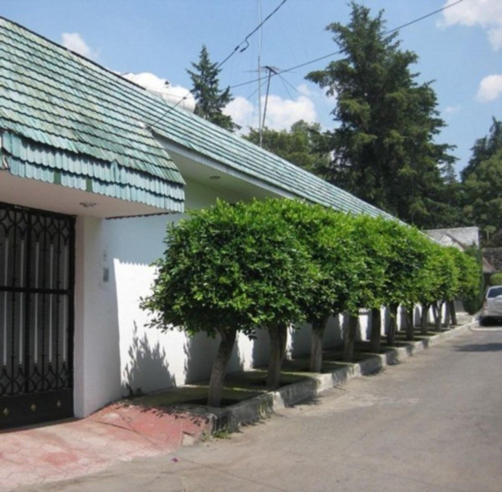 4 bedrooms House in Mexicali, Mexico No. 169687