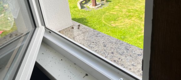 Quinta de 6 divisões em Kronach, Germany N.º 135102 6