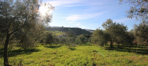 3 غرف نوم فيلا في Ronda, Spain رقم 85777 6