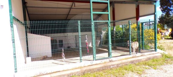 1 غرف نوم منزل في Selmes, Portugal رقم 42152 33