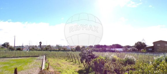 1 غرف نوم منزل في Selmes, Portugal رقم 42152 27