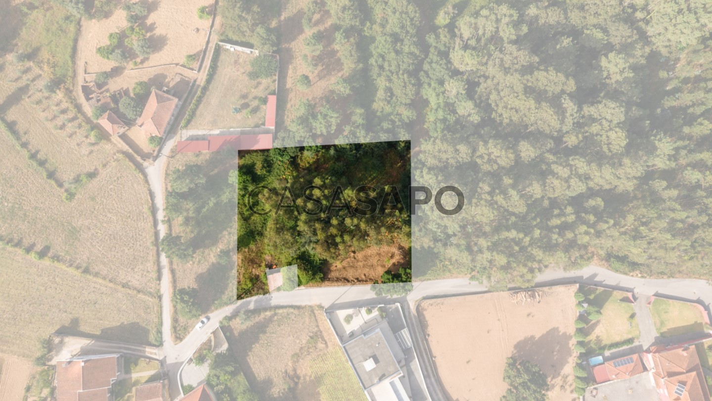  Land in Figueira de Lorvao, Portugal No. 282761