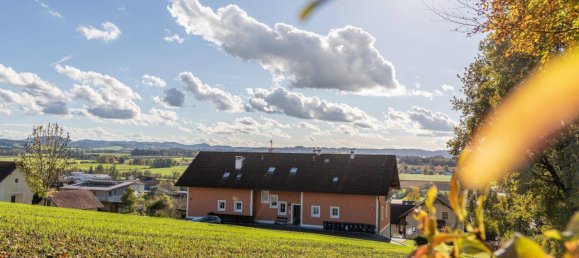 2 rooms Apartment in Kirchheim im Innkreis, Austria No. 27351 8