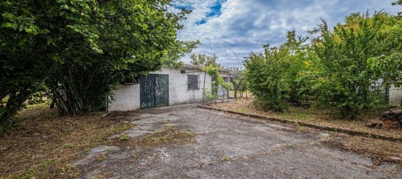 4 غرف نوم منزل في Canas de Senhorim, Portugal رقم 180211 22