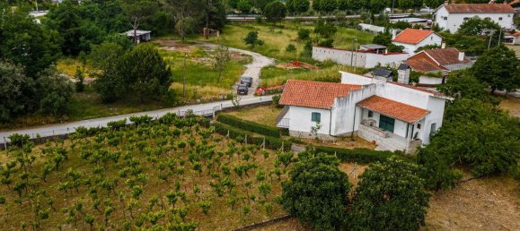 4 غرف نوم منزل في Canas de Senhorim, Portugal رقم 180211 6