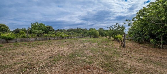 4 غرف نوم منزل في Canas de Senhorim, Portugal رقم 180211 25
