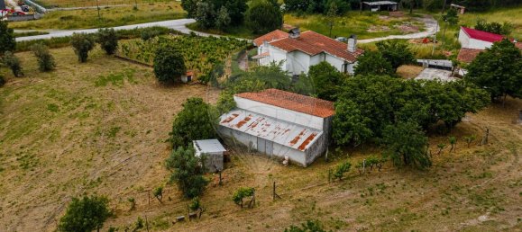 4 غرف نوم منزل في Canas de Senhorim, Portugal رقم 180211 4