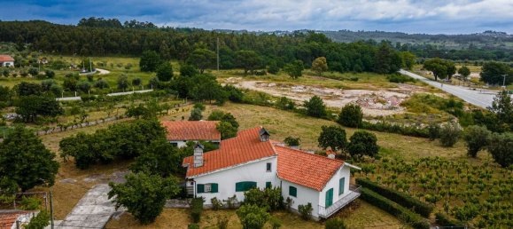 4 غرف نوم منزل في Canas de Senhorim, Portugal رقم 180211 41