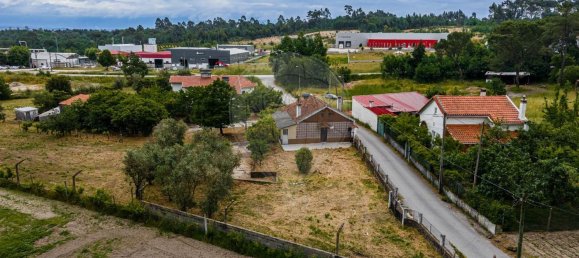 4 غرف نوم منزل في Canas de Senhorim, Portugal رقم 180211 43