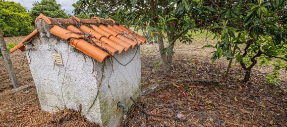 4 غرف نوم منزل في Canas de Senhorim, Portugal رقم 180211 38
