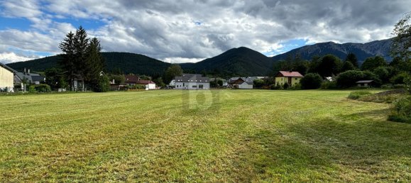 Terrain à Neunkirchen, Austria No. 248823 3