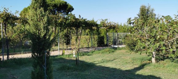 Land in Piombino, Italy No. 374879 3