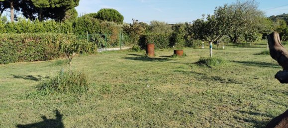 Land in Piombino, Italy No. 374879 6
