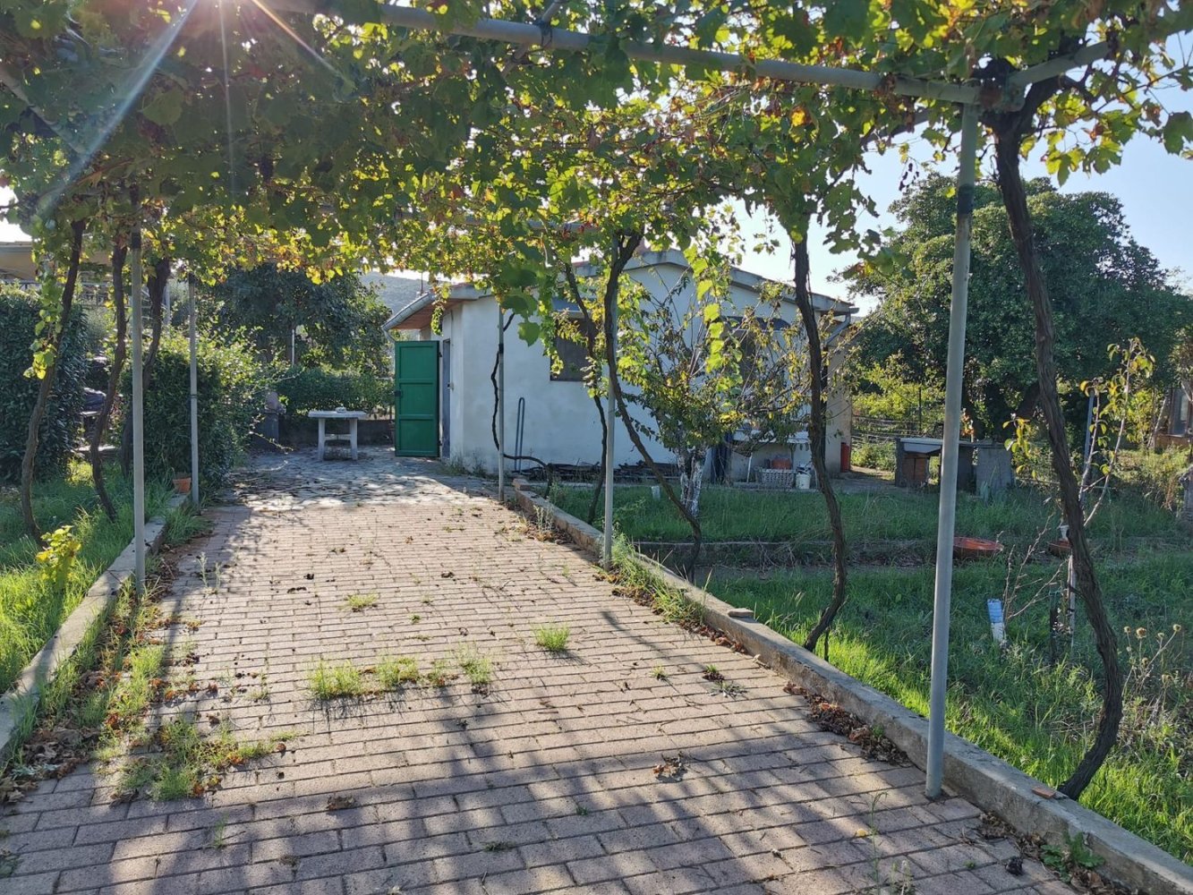  Land in Piombino, Italy No. 374879