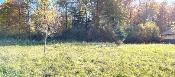 Terrain à Mariatrost, Austria No. 42978 3